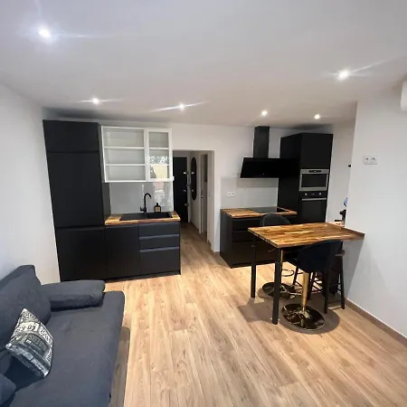 Apartment Papillon De Cimiez Nice