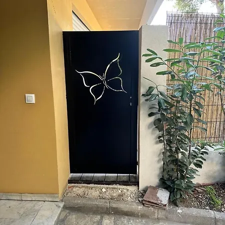 Papillon De Cimiez *